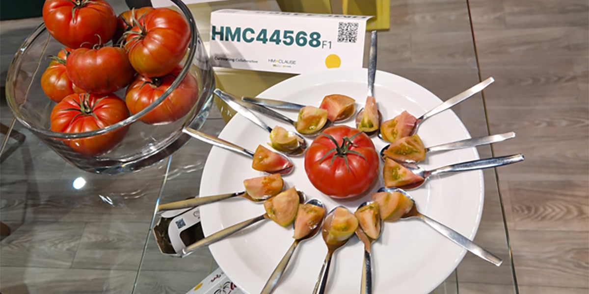 Hm.Clause: il Marmande “pink” conquista Berlino